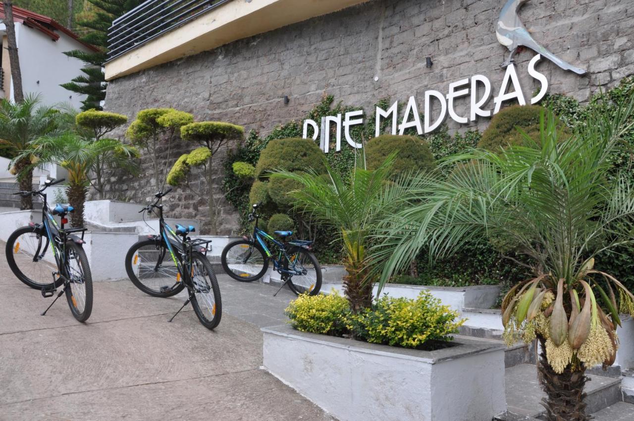 Pine Maderas By Embrace Apartment Kasauli Ngoại thất bức ảnh