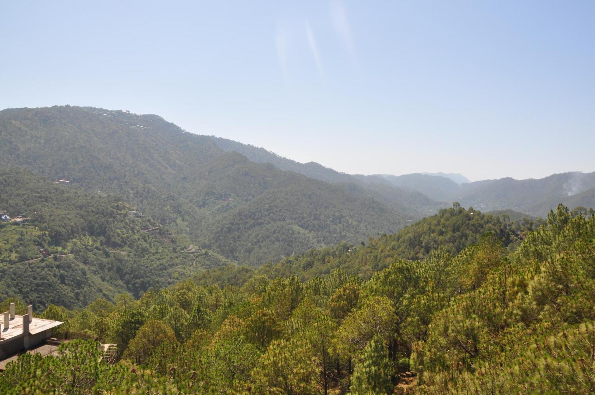 Pine Maderas By Embrace Apartment Kasauli Ngoại thất bức ảnh
